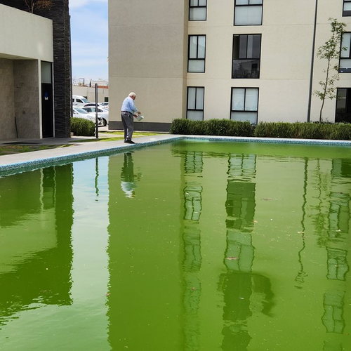 Alberca de condominio con agua verde antes del servicio de BGU
