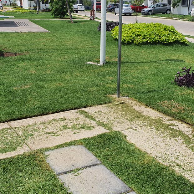 Área verde con juegos infantiles en un desarrollo residencial