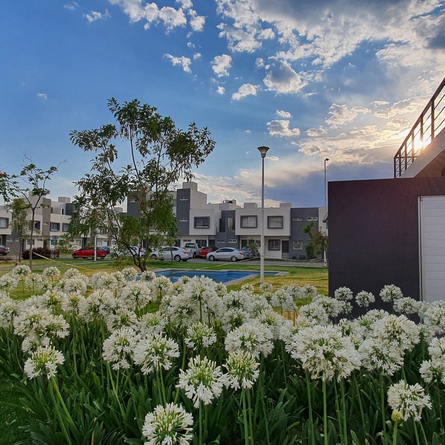 Jardín florido de un condominio al atardecer