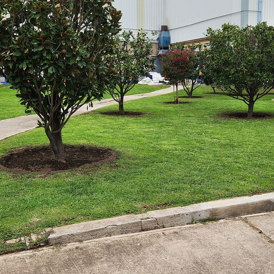 Arbolado y pasto de las áreas comunes de un condominio