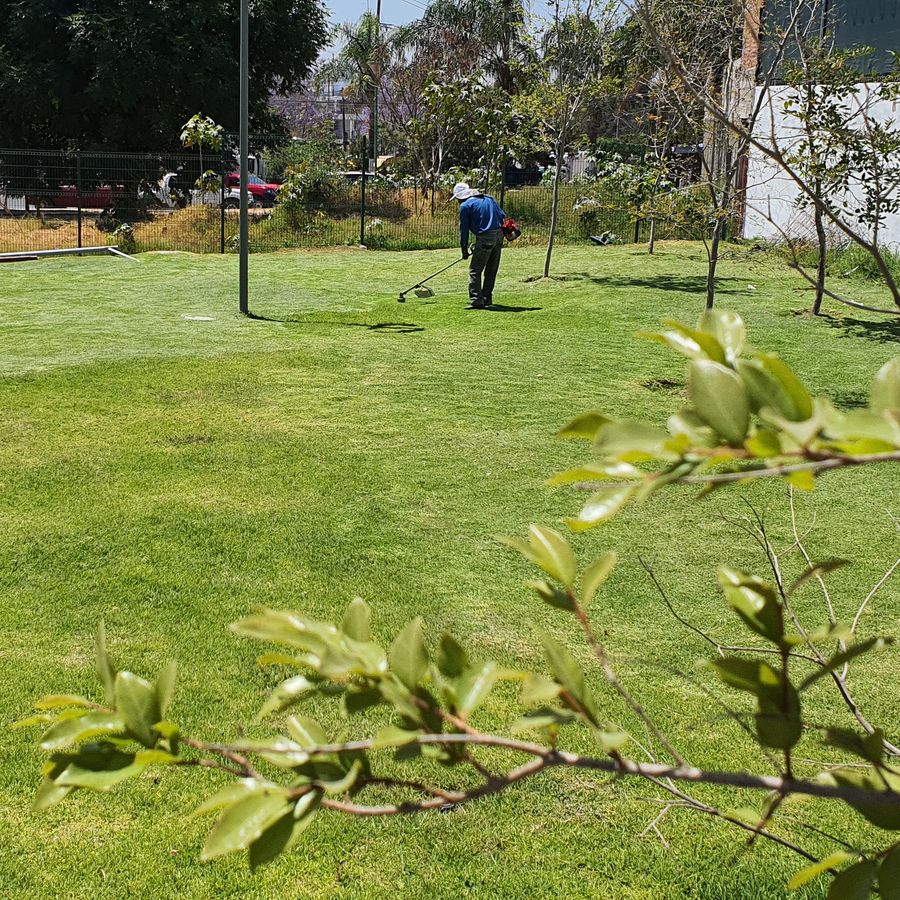 Personal de BGU podando las áreas verdes