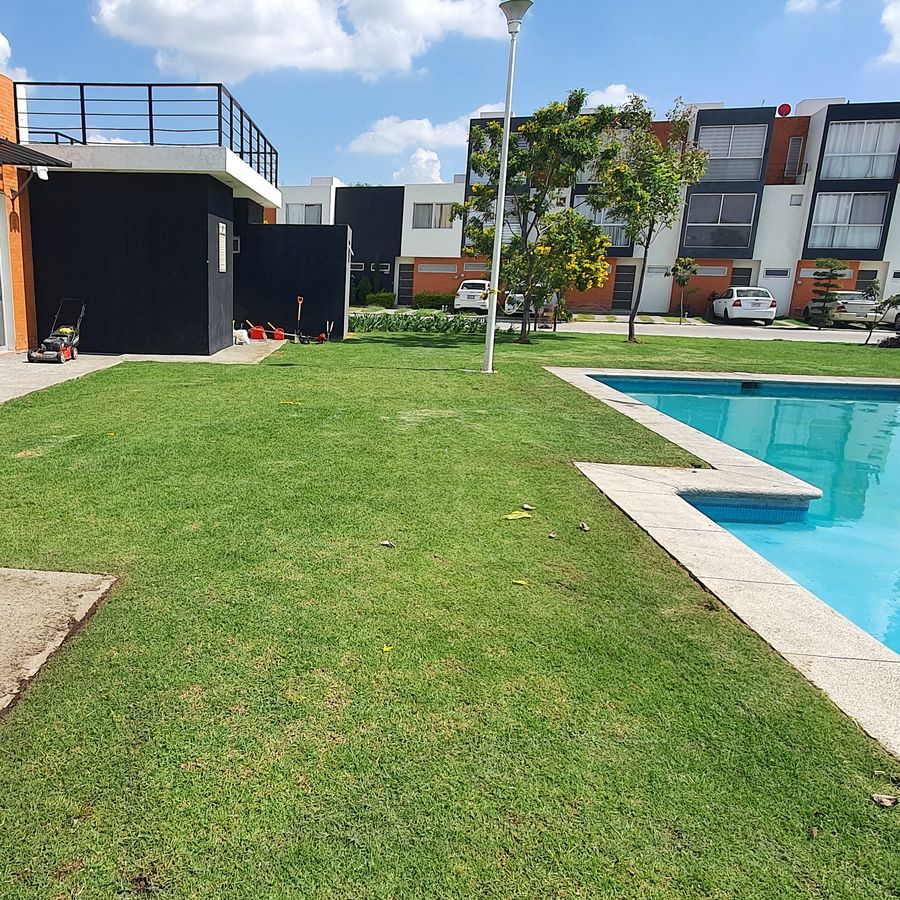 Pasto, casa club y alberca de un condominio horizontal